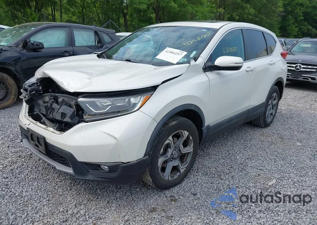 5J6RW2H85JL021982: 42484257