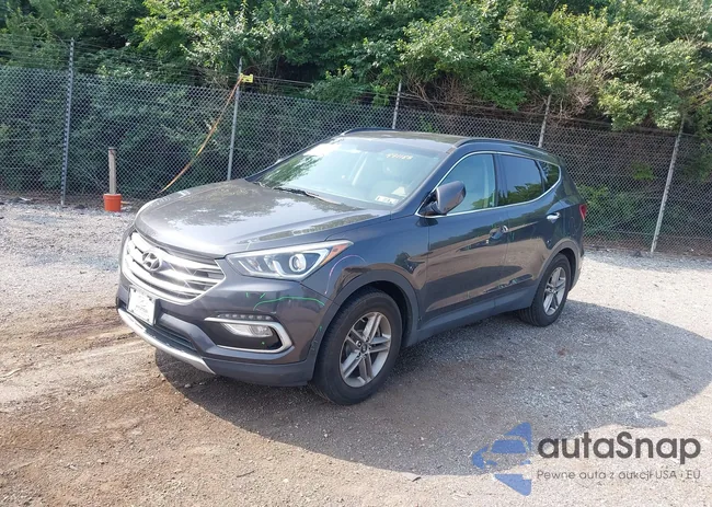 5XYZUDLB1HG491183: 42484862