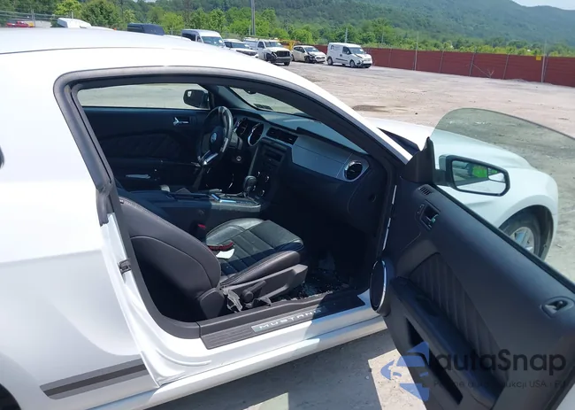 1ZVBP8AMXE5294244: 42485156