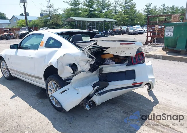 1ZVBP8AMXE5294244: 42485156