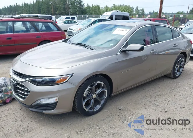 1G1ZD5ST3PF243334: 42484611