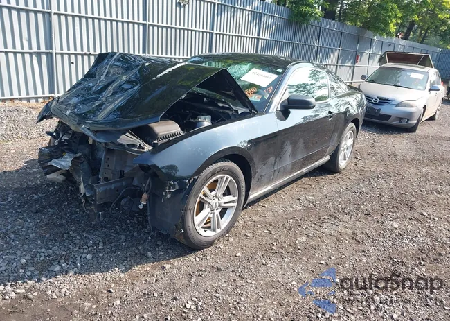 1ZVBP8AM1C5288023: 42486009