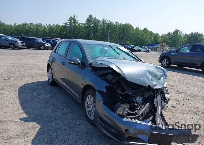 3VW217AU3GM043784: 42486602