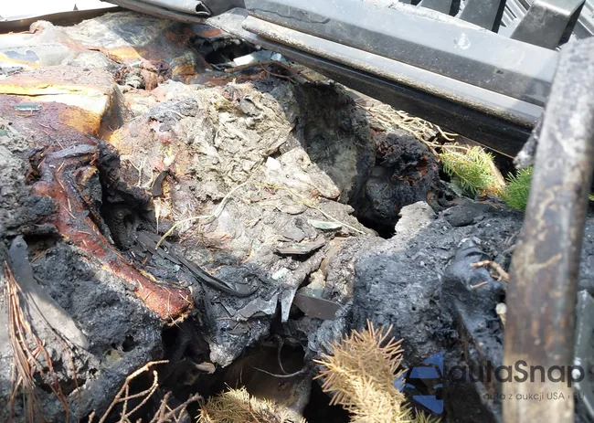 3FA6P0HR9DR189011: 42487946