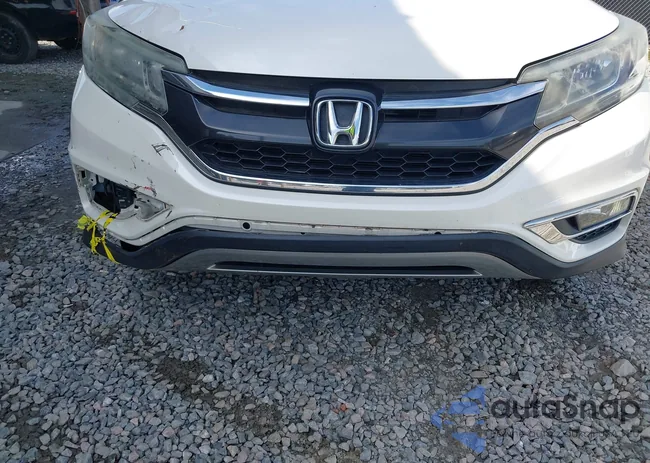 5J6RM4H59FL038802: 42487366