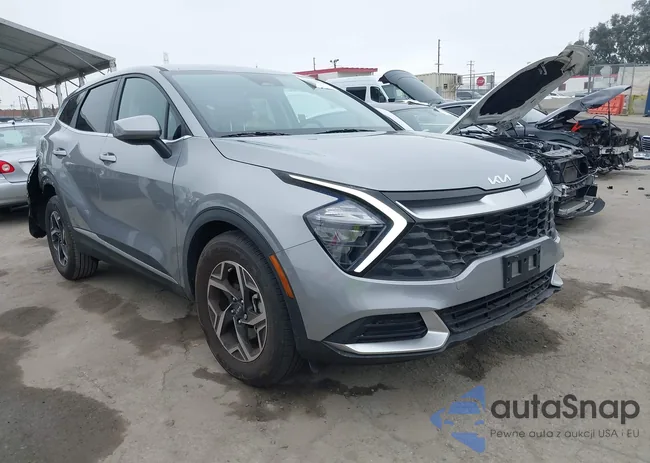 KNDPU3AF6P7196597: 42487539