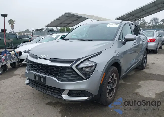 KNDPU3AF6P7196597: 42487539