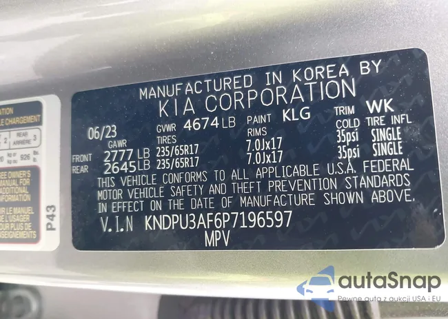 KNDPU3AF6P7196597: 42487539