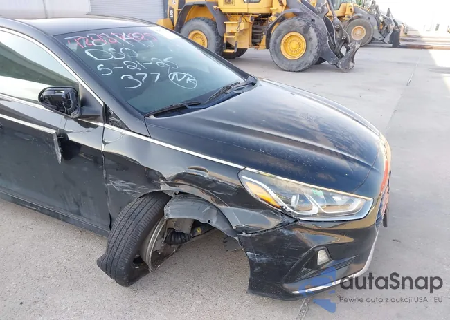 5NPE24AF6KH799962: 42487625