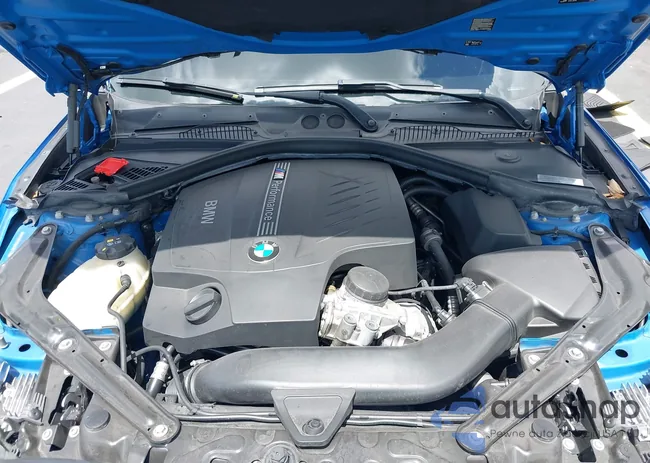 WBA1M1C55GV394210: 42487713