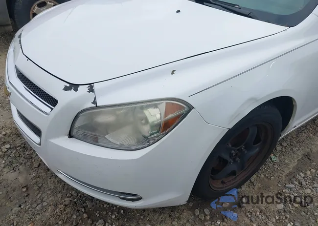 1G1ZG57B89F140355: 42488930