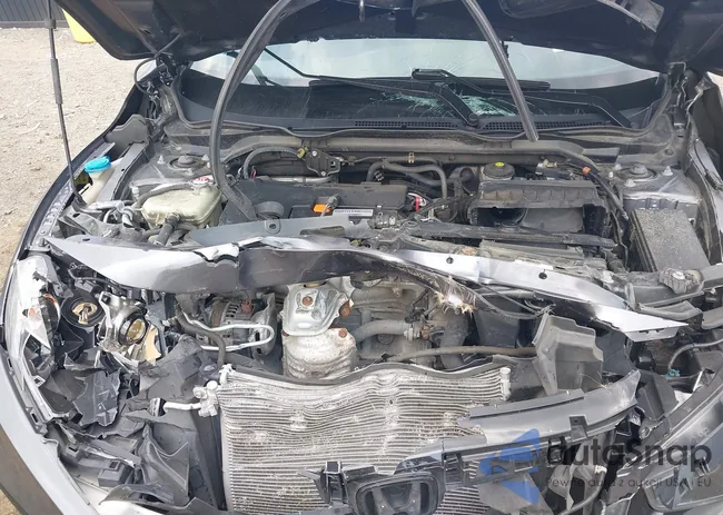 2HGFC2F87MH518295: 42489048