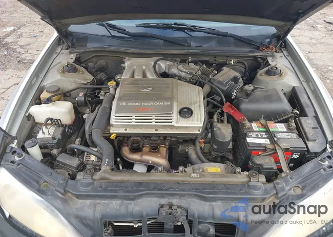 JT8BF28G910291019: 42488530