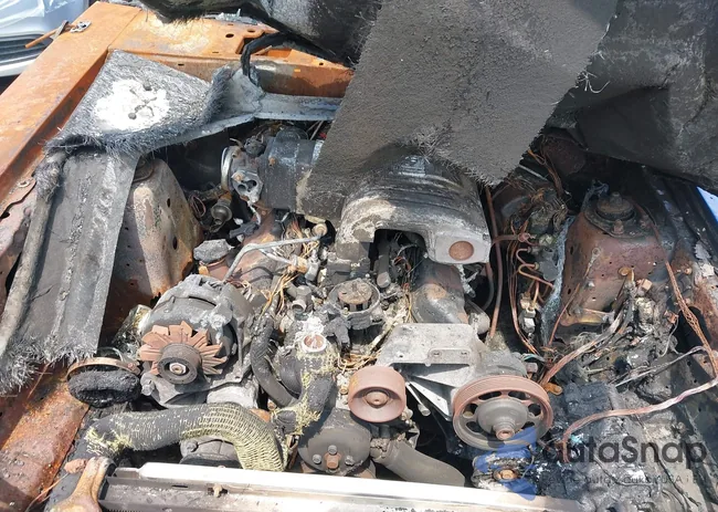 1FABP42E0JF289468: 42490917