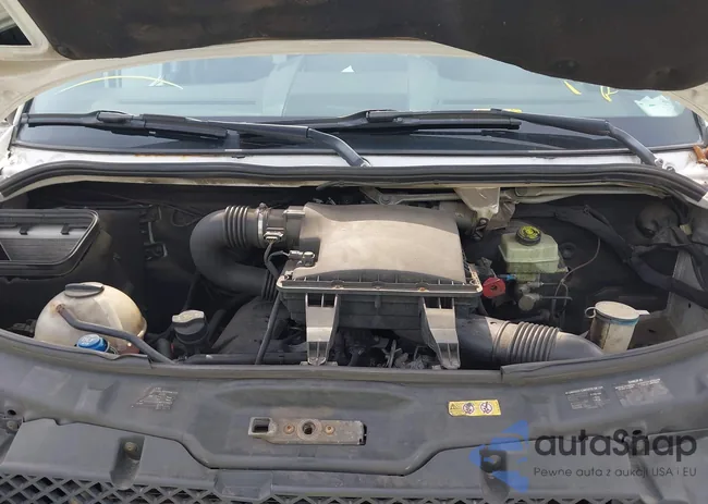 WD3PE8CB9C5675472: 42490951