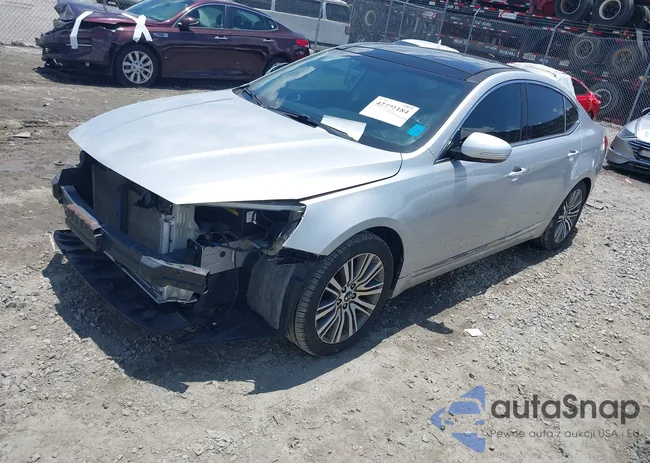 KNALN4D77G5220923: 42491184