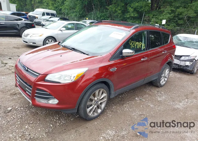 1FMCU9GX2GUB22561: 42491843