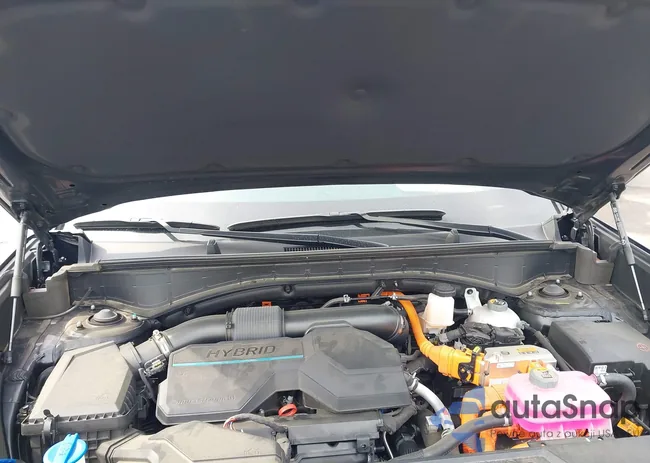 5NMP5DG10RH001099: 42491938