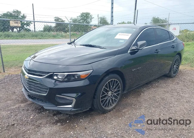 1G1ZB5ST9HF244575: 42491942