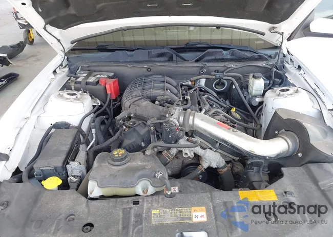 1ZVBP8AMXE5248106: 42491300