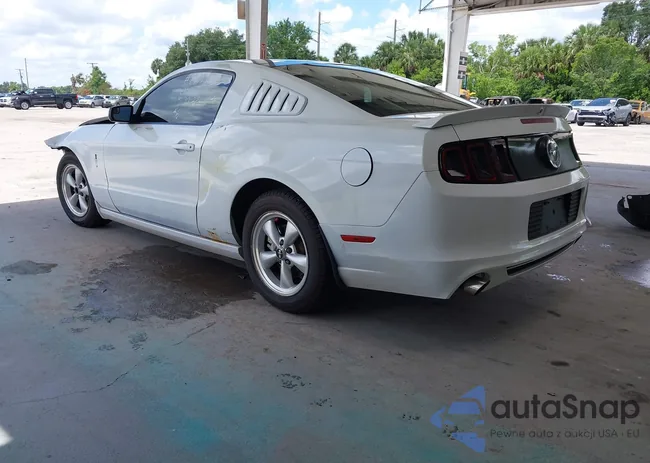 1ZVBP8AMXE5248106: 42491300