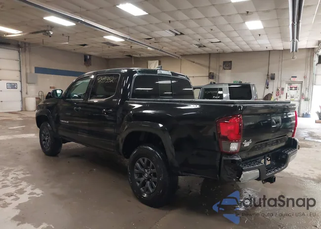 3TYCZ5AN8PT141565: 42491352