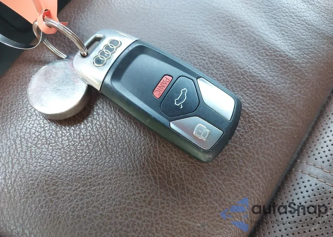 WA1CNAFY5J2025512: 42492809