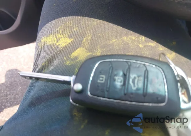 5NPE24AF2GH264733: 42493005