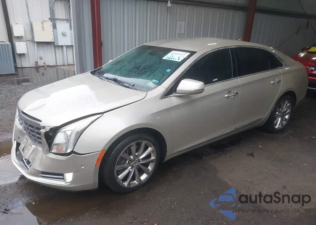 2G61M5S31E9119172: 42493127