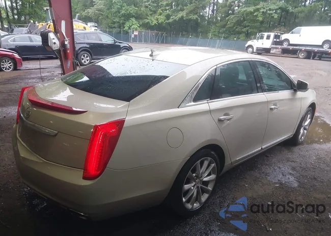 2G61M5S31E9119172: 42493127