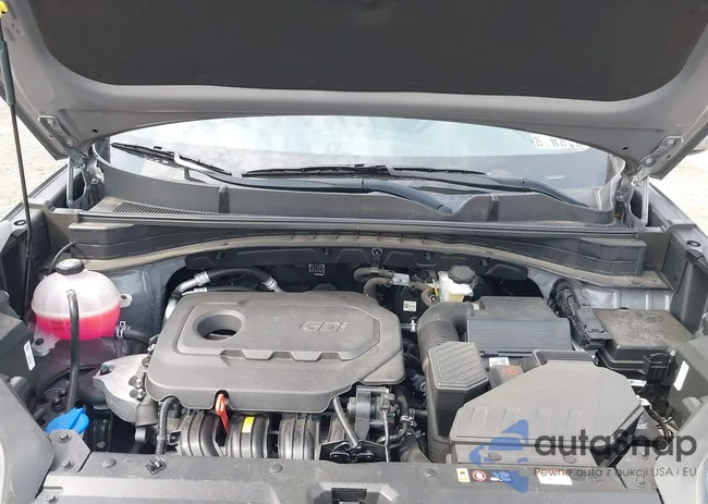 KNDPMCAC4N7001244: 42493242