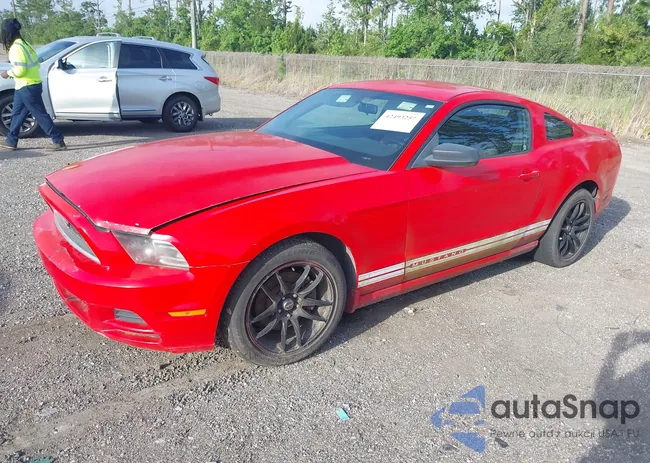 1ZVBP8AM8D5250810: 42493257