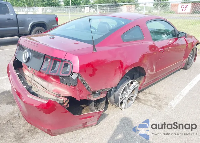 1ZVBP8AM2E5286252: 42492320