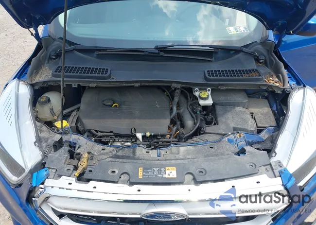 1FMCU0GD4JUD17246: 42492330