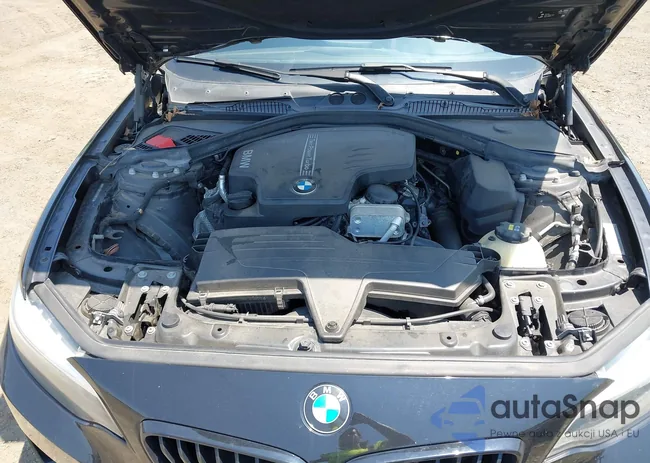 WBA1G9C54GV599281: 42492407