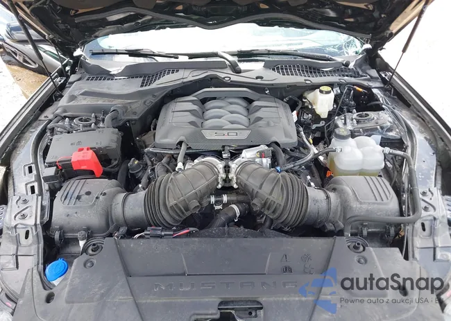 1FA6P8CF7S5403506: 42494040