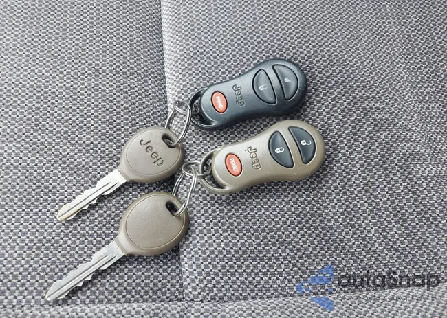 1J4GW48SX1C647882: 42494056