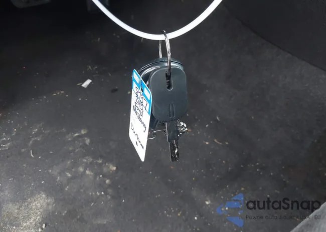 1ZVBP8AM8D5242951: 42494179