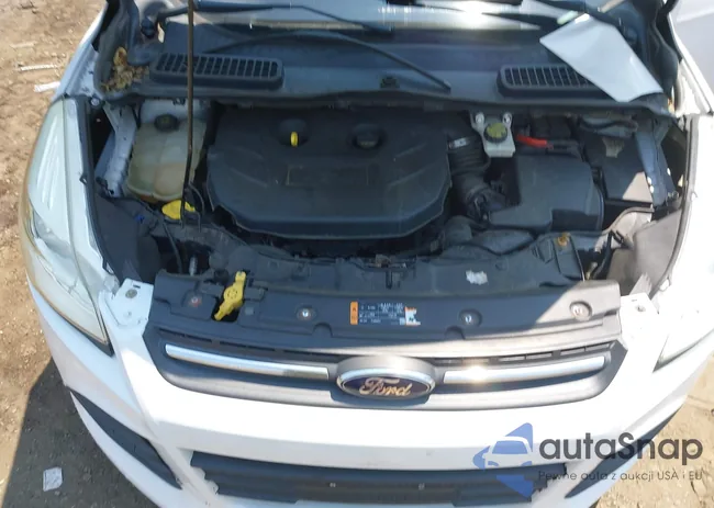 1FMCU0G93FUB38571: 42494932