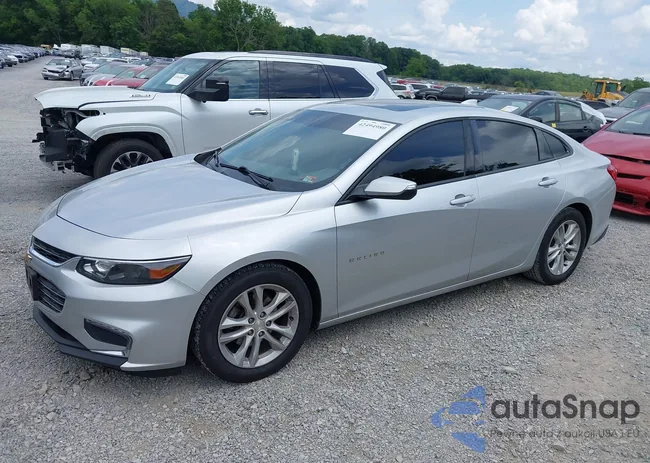 1G1ZD5ST5JF130489: 42494980