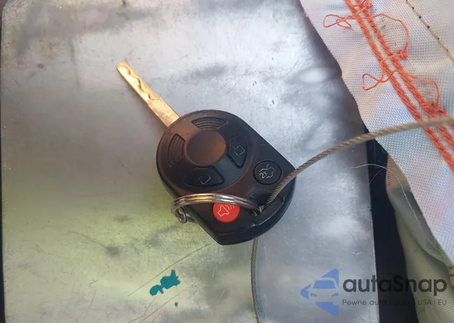 1FADP3F29DL125791: 42494541