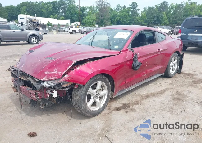 1FA6P8TH4J5113367: 42494674