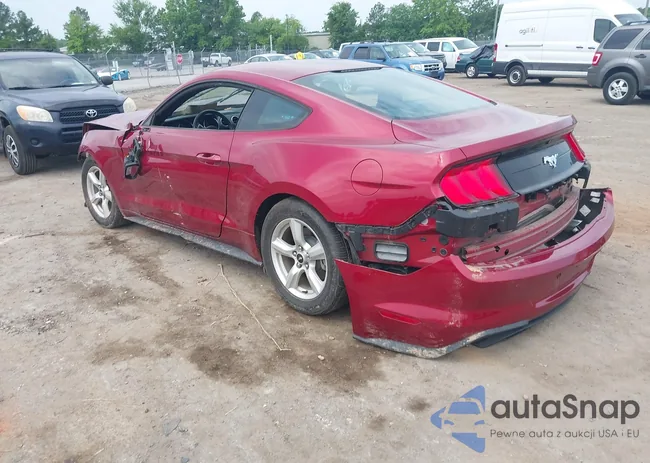 1FA6P8TH4J5113367: 42494674