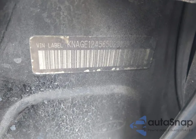 KNAGE124565023109: 42495842