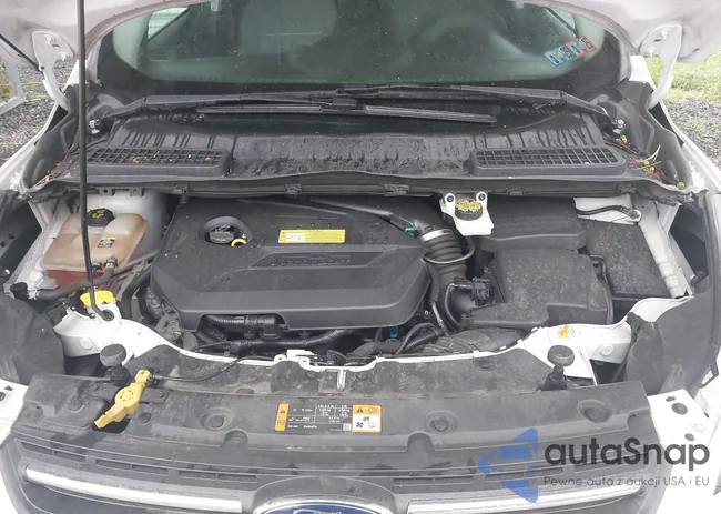 1FMCU9GX6DUD25027: 42495947