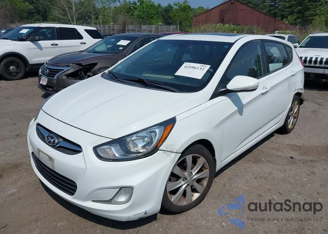 KMHCU5AE9DU102884: 42496132