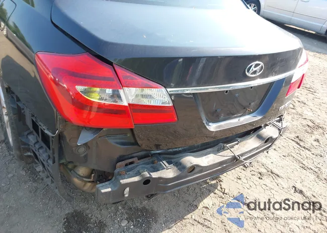 KMHGC4DD2DU245158: 42495302