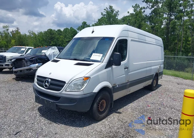 WD3PE8CB8B5592596: 42495480