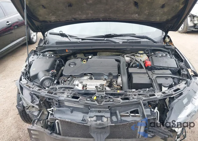 1G1ZD5ST6KF172395: 42495582