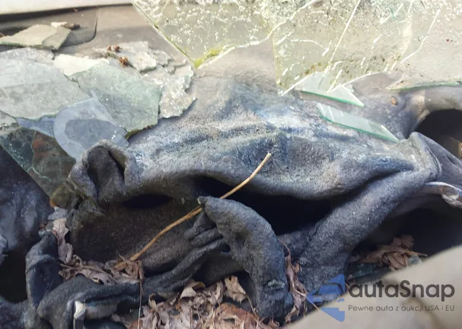 5TDBK3EH1BS076474: 42496335